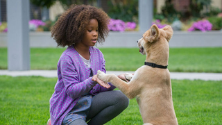 QuvenzhanĂ© Wallis as Annie (Sony Pictures) Â